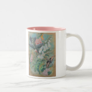 Mugg - Hummingbird och mal vid NCBR