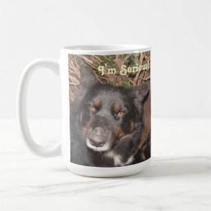 Mugg Husky Collie Kor