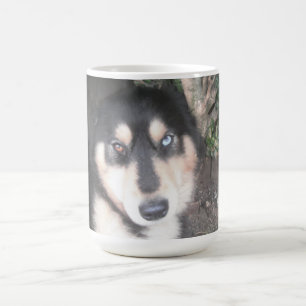 Mugg Husky One Blue Öga One Brown Öga