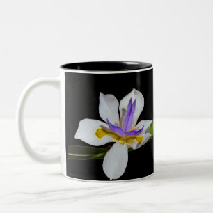 Mugg - Iris Flowers