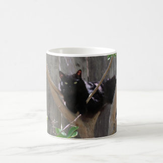 Mugg - Katt i grenar
