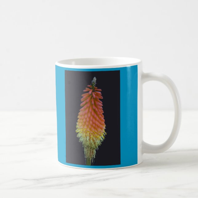 Mugg Kniphophia nr. 219 (Höger)