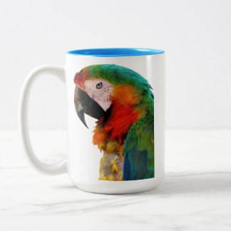 Mugg, kopp