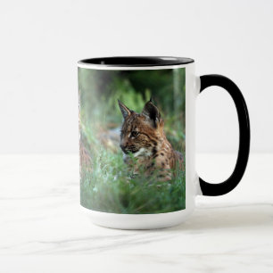 Mugg - lodjur