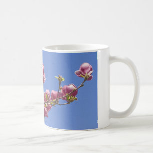 Mugg Magnolias, gren av blommar