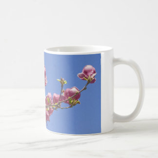 Mugg Magnolias, gren av blommar