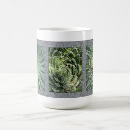 Mugg med Aloe Plants