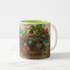 MUGG MED ÄPPLEN VÄXER PÅ BRICK WALL ESPALIER
