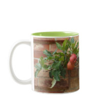 MUGG MED ÄPPLEN VÄXER PÅ BRICK WALL ESPALIER