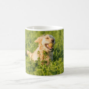 Mugg med bilden av Golden Retriever i Fält
