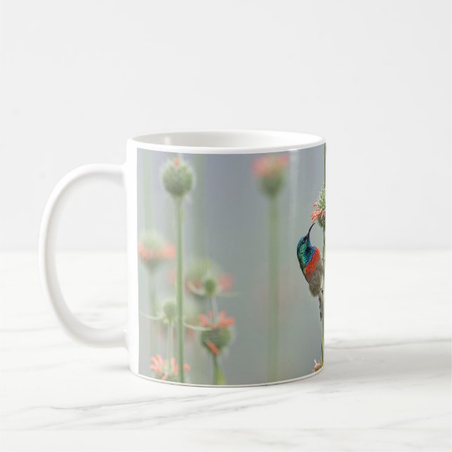 Mugg med en fotografera av en sunbird (Vänster)