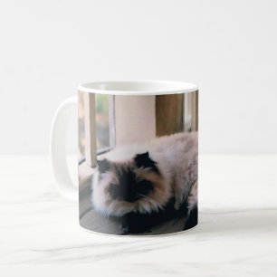 Mugg med foto av en himalayansk katt