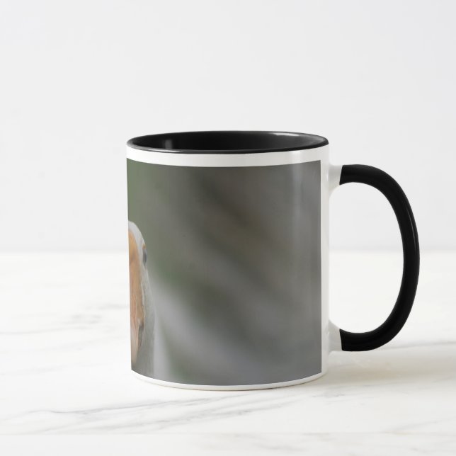 Mugg med gäss… (Höger)