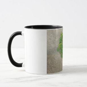 mugg med naturlig klöver-hjärtkonstruktion