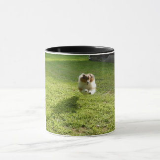 Mugg med originalfoto av leaping Sheltie