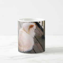 Mugg med persisk katt