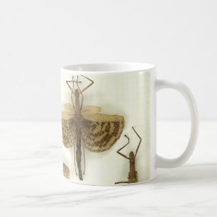 Mugg med pinneinsekter