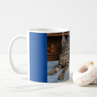 Mugg med söt kattunge