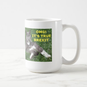 Mugg OMG:s sanna Brexit