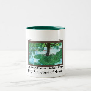 Mugg-Onekahakahastranden parkerar, Hilo Två-Tonad Mugg