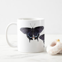 Mugg Östra Black Swallowtail
