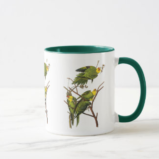 Mugg: Parakeet - av John Audubon Mugg