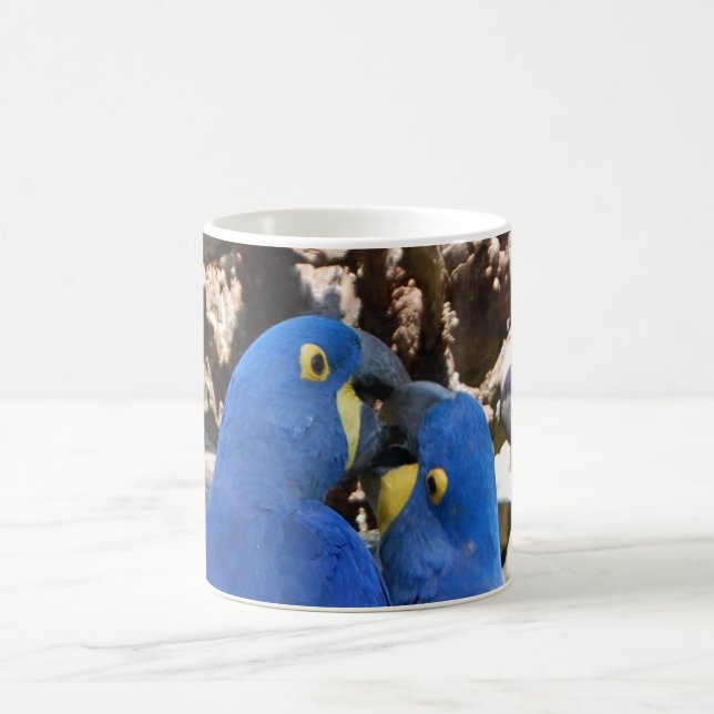 mugg _ parrots (Center)