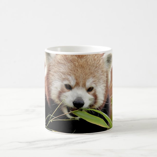 Mugg Photo red panda , djur . (Center)