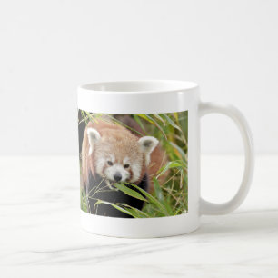 Mugg Photo red panda , djur 0397.
