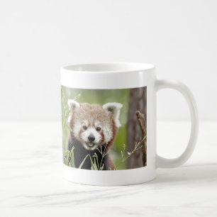Mugg Photo red panda , djur 0400.