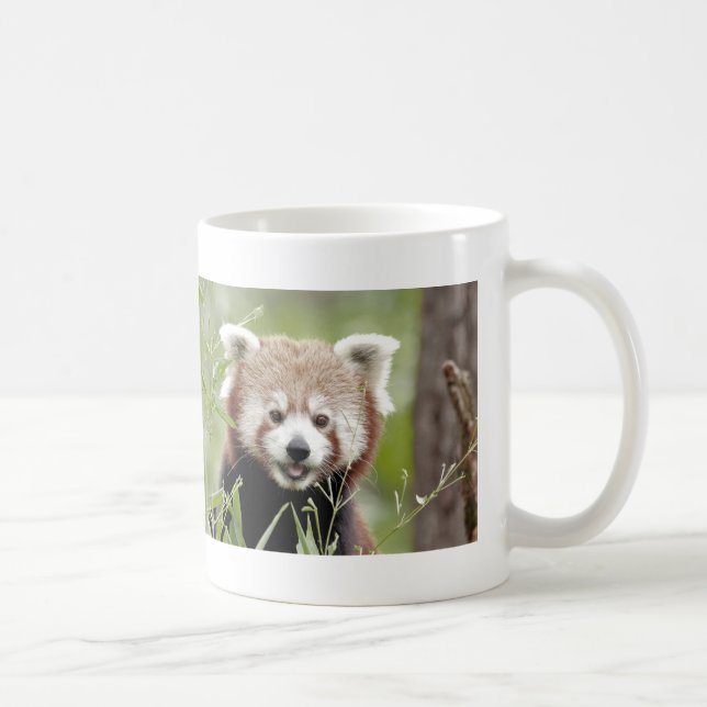 Mugg Photo red panda , djur 0400. (Höger)