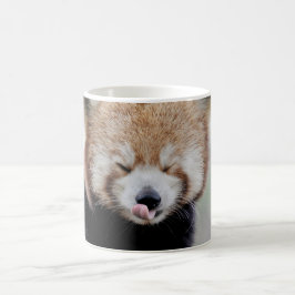 Mugg Photo red panda , djur . kaffe mugg