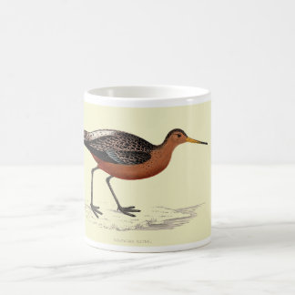 Mugg - pub tailed godwit