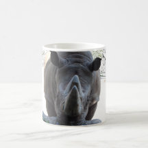 mugg _ rhinoceros