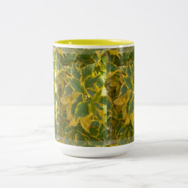 Mugg Rmdesignflo55-27