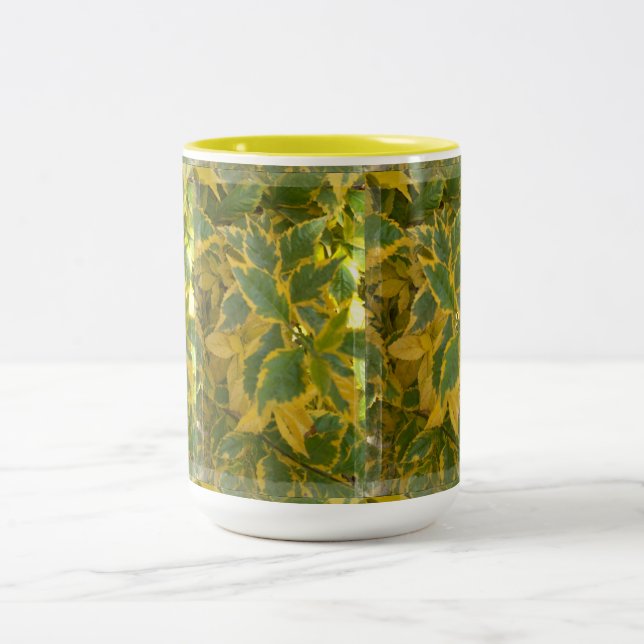 Mugg Rmdesignflo55-27 (Center)