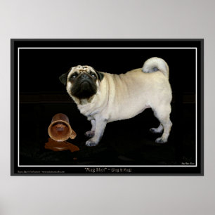 "MUGG SHOT" Pug Poster
