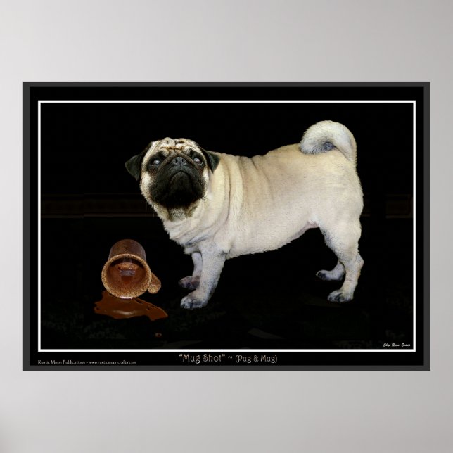 "MUGG SHOT" Pug Poster (Framsidan)