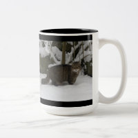 Mugg - skotsk vildkatt