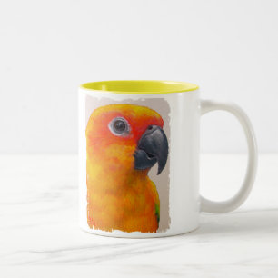 Mugg - solConure papegoja