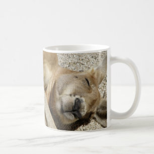Mugg Sovande Känguru
