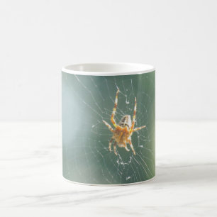 Mugg - Spider på webben