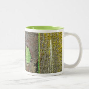 Mugg - Trästängsel med Moss