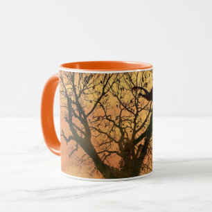 Mugg twsted Autumn Träd vid solnedgång