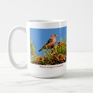 Mugg Vit-påskyndad Crossbill
