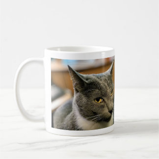 Mugg - Waz Up Girl?