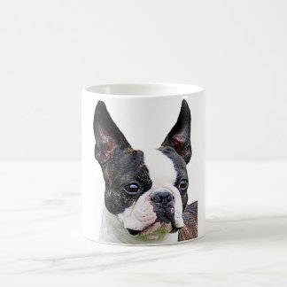 Muggar "för Boston terrier" design