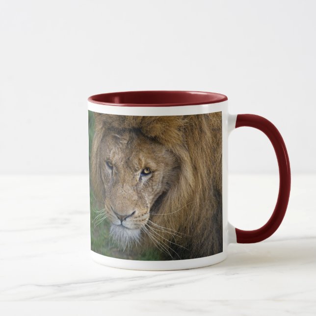 Muggens Konung Mugg (Höger)