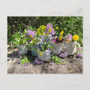 Muggy Sommarvykort dh2022 Vykort