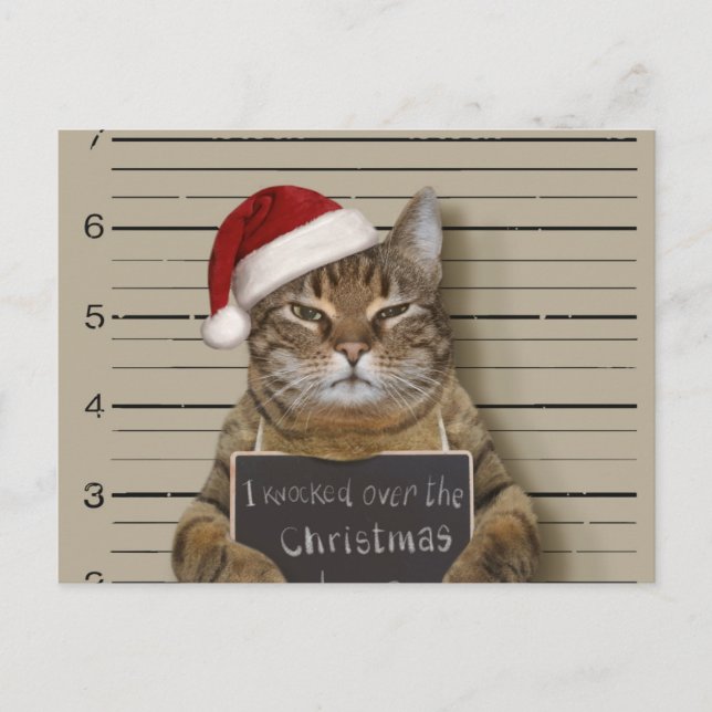Mugshot Cat Christmas Vykort (Framsida)